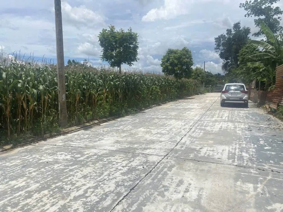 Lô đất Ea Kao 175m² giá 1 tỷ - Cơ hội đầu tư hiếm có gần hồ Eakao!