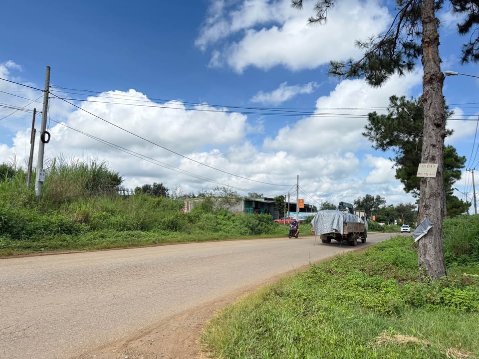 FrontHouse Lý Thường Kiệt Pleiku 300m² giá 2.5 tỷ - Kinh doanh thuận lợi!