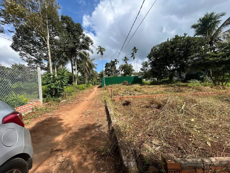 Đất nền liền kề Buôn Cuôr Cap 100m² giá chỉ 800 triệu - Đầu tư sinh lời ngay!