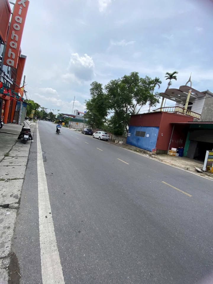 Bán lô đất mặt đường 208, Hồng Phong, An Dương 100m² giá 4.5 tỷ - Vị trí kinh doanh đắc địa!