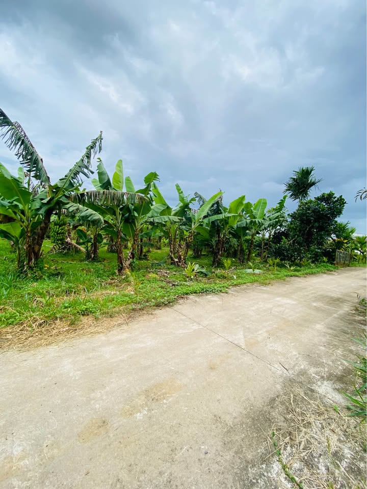 Đất thổ cư Lộc Thành Bảo Lâm 1151m² giá chỉ 1.7 tỷ - Tiện ích đầy đủ!