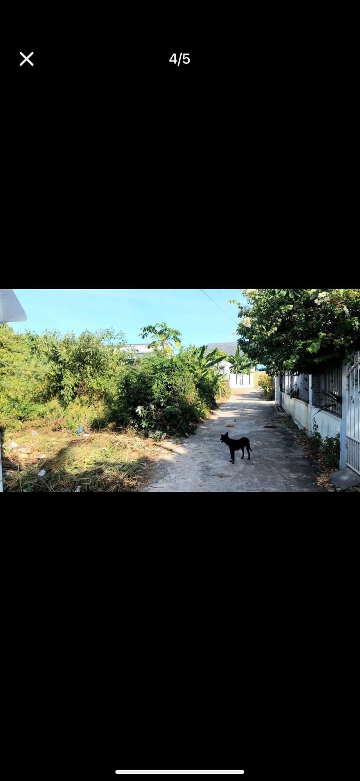 Đất Thổ Cư Diên An 116.9m² giá 1.75 tỷ - Gần chợ, Ô tô vào tận nơi!