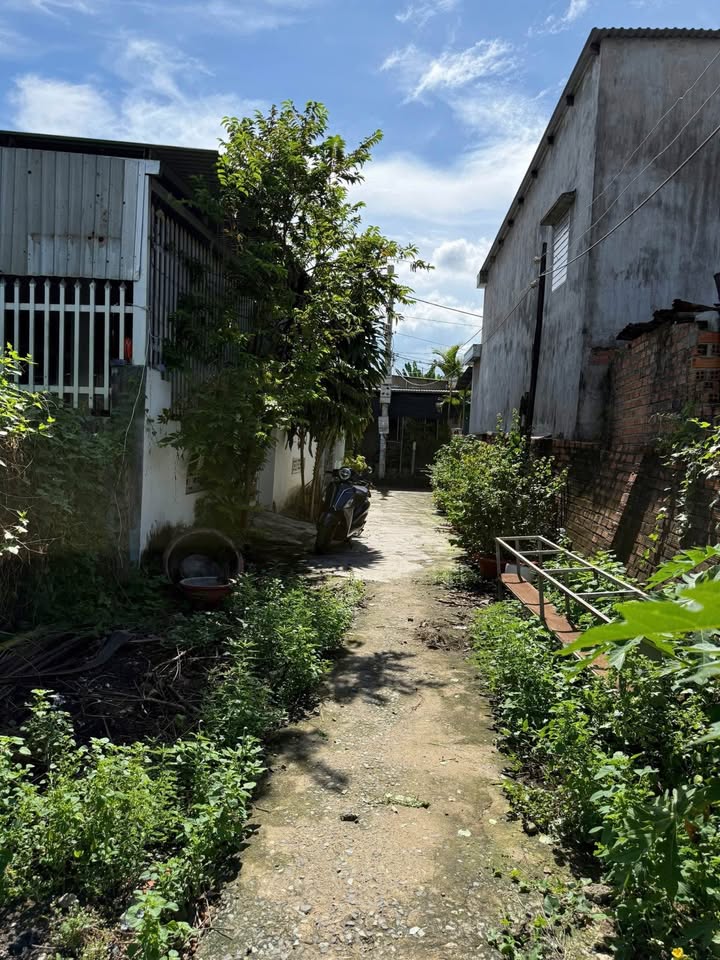 Đất thổ cư 120m² đường Liên Hoa Nha Trang - Hướng sông, giá chỉ 2.64 tỷ!