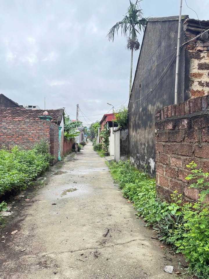 Đất thổ cư thôn Nam Cương, xã Hiền Ninh 83m² - Gần trung tâm hành chính