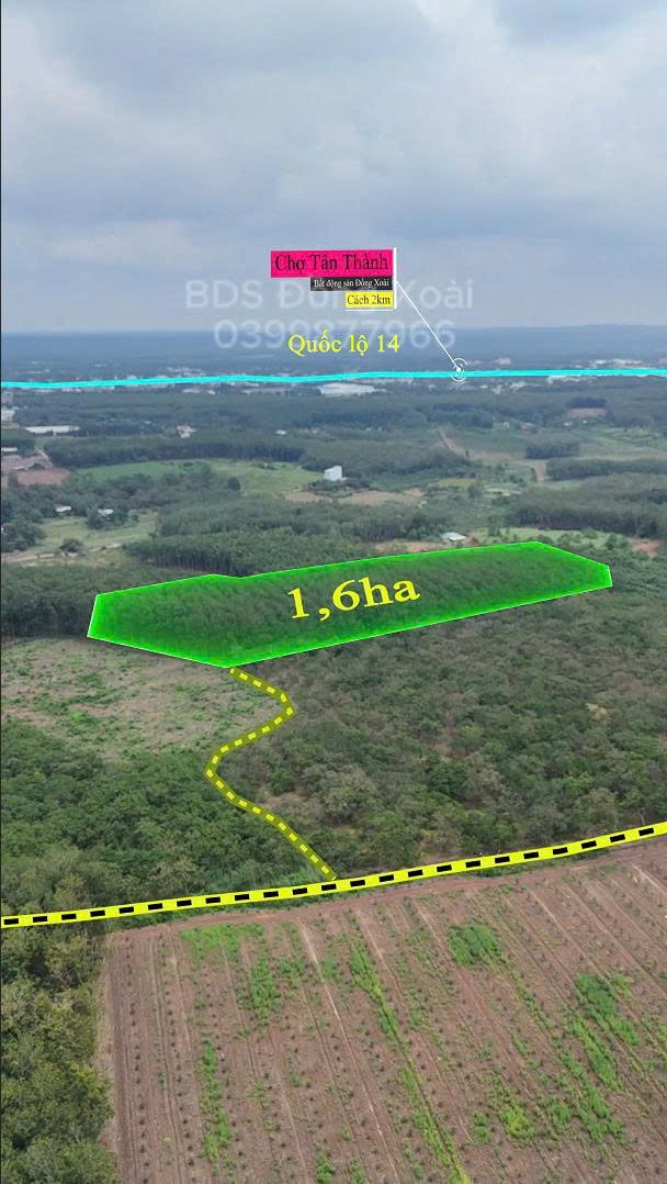 Đất vườn 1,6ha Tiến Hưng, Đồng Xoài giá 3.6 tỷ - Sổ hồng chính chủ!