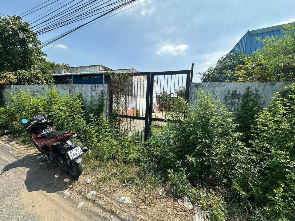 Đất thổ cư 153m² xã Nhị Thành, Thủ Thừa chỉ 1,3 tỷ - Pháp lý rõ ràng!