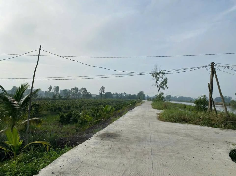 Đất nền Hòa Khánh Tây 1200m² giá 1.32 tỷ - Mặt tiền đường bê tông