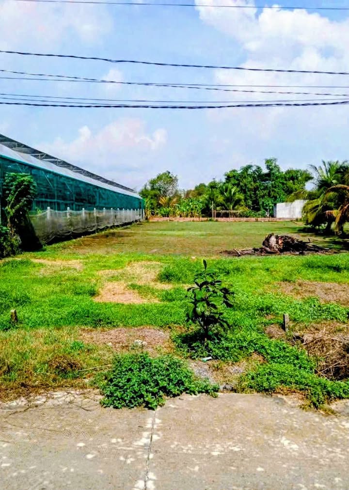 Đất nền mặt tiền đường bê tông Mỹ Hạnh 365m² giá 1.5 tỷ - Sổ đỏ chính chủ, sang tên nhanh chóng!