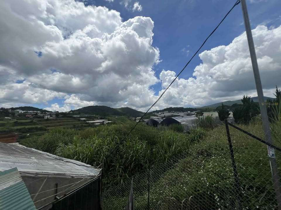 Bán lô đất An Sơn Đà Lạt 99m² giá 1.79 tỷ - View đẹp, đường ô tô vào tận nơi!