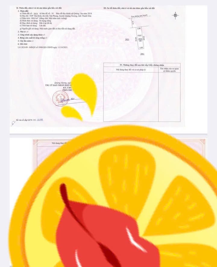 Đất nền Tân Phong, Quảng Xương 100m² giá 1.1 tỷ - Hướng Bắc, vị trí đẹp!