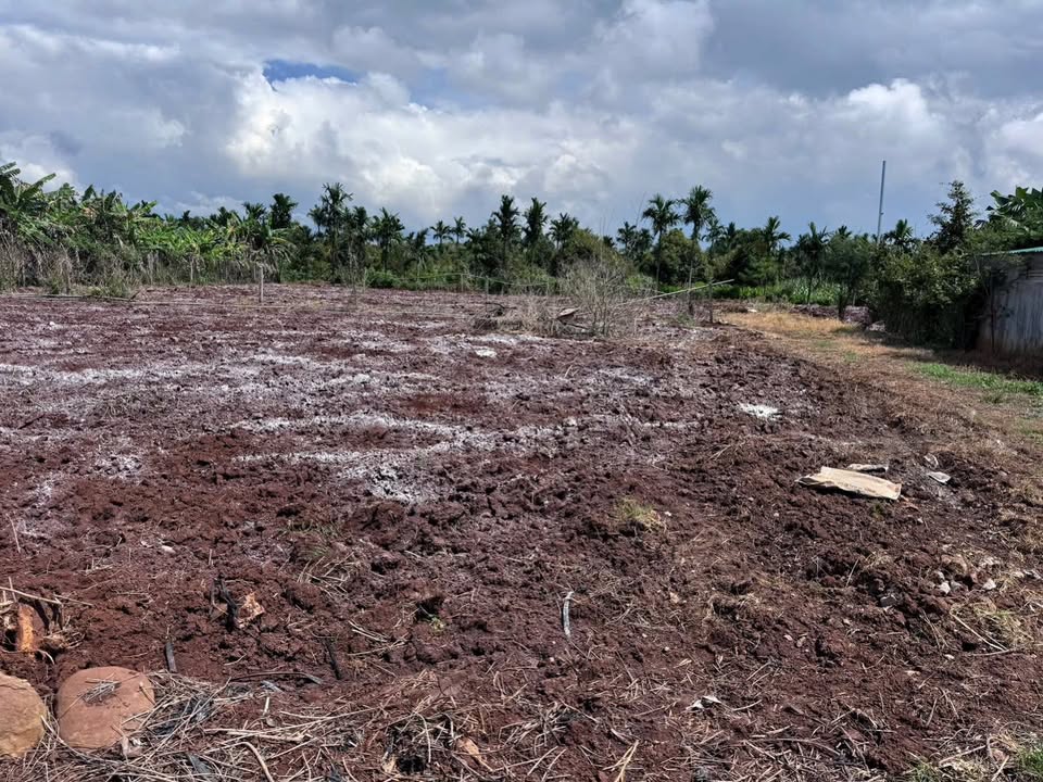 Đất nền 2 sào tại Khánh Xuân, Buôn Ma Thuột - Sổ đỏ chính chủ, giá chỉ 1.4 tỷ!