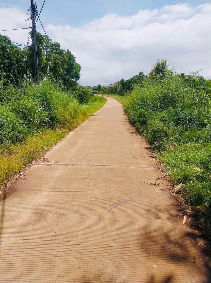 Đất nền 4.5 sào Quảng Hiệp, Cư M'gar - Giá chỉ 700 triệu!