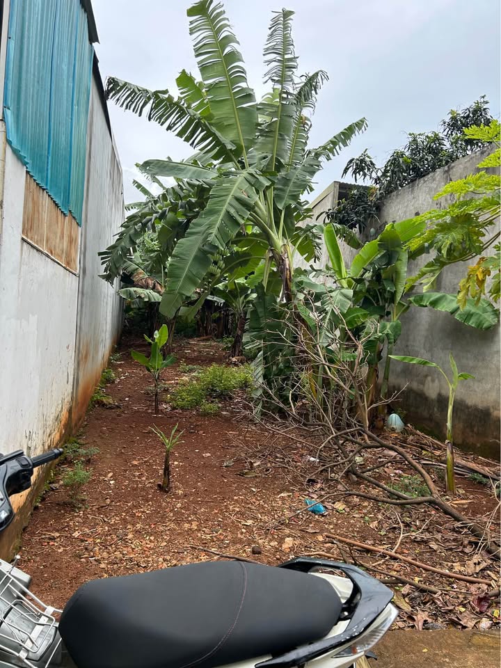 Đất nền Thành Nhất, Buôn Ma Thuột 100m² giá 450 triệu - Cơ hội đầu tư tuyệt vời!