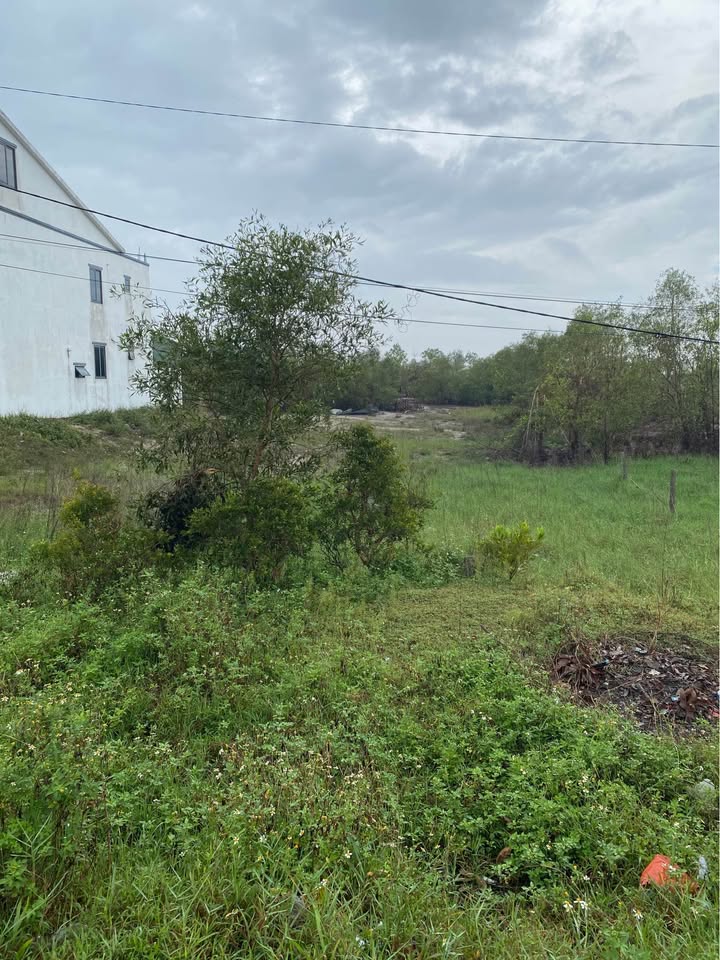 Đất nền 2 mặt tiền Yên Hòa, Cẩm Xuyên 100m² - Đầu tư sinh lời cao!