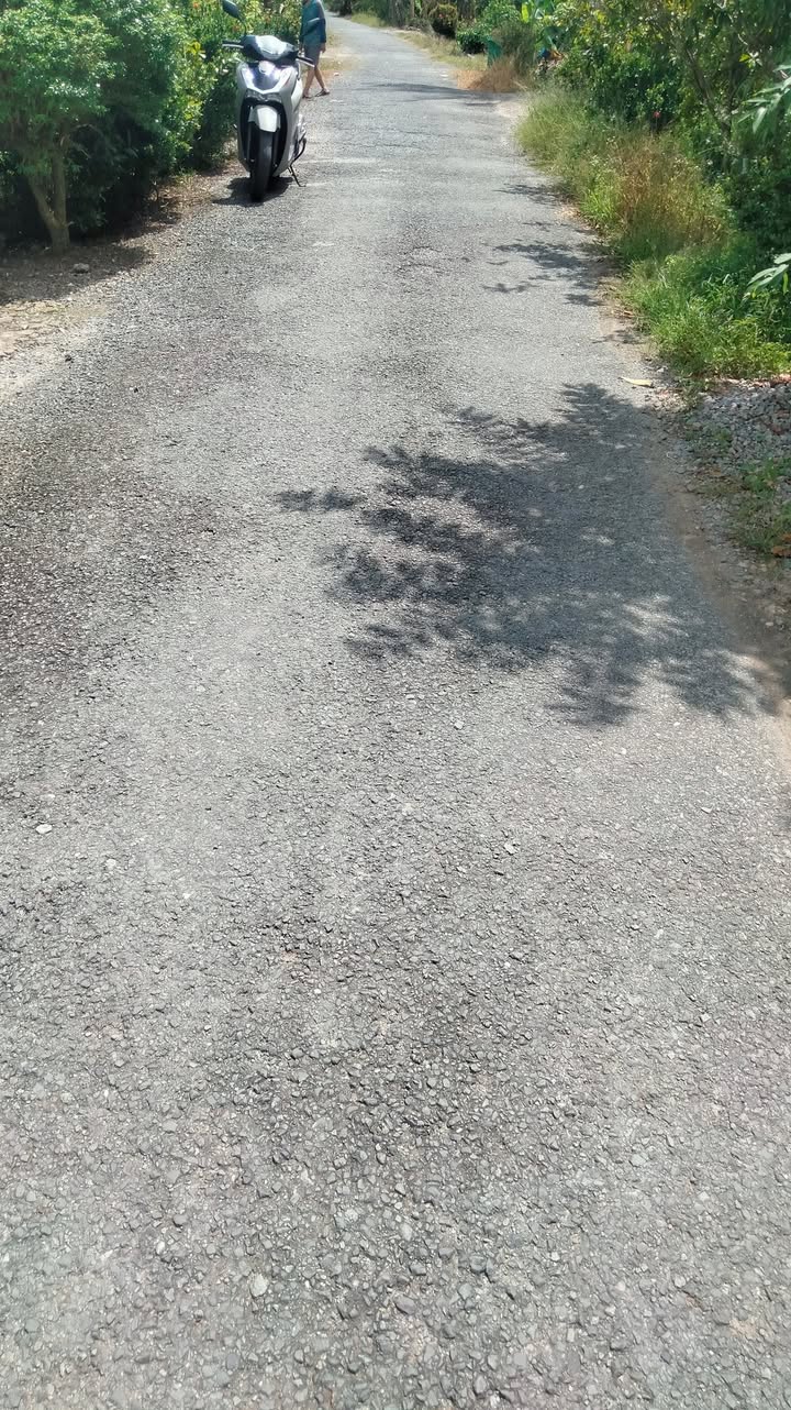 Đất thổ cư Tam Bình Cai Lậy 750m² giá 7.2 tỷ - Đầu tư sinh lời tốt!