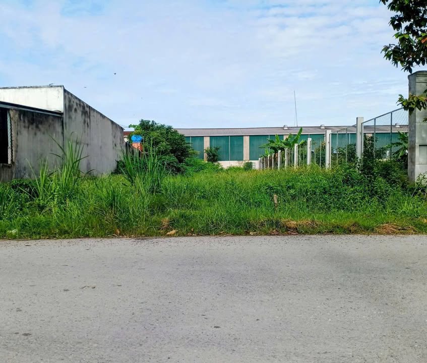 Kho xưởng đường Mỹ Hạnh, Đức Hòa 624m² giá 5.4 tỷ - Đầu tư sinh lời ngay!