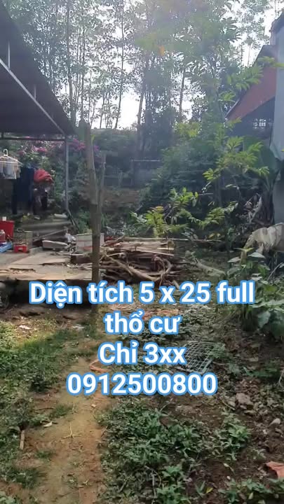 Đất nền Nghĩa Lộ 125m² giá chỉ 3xx triệu - Cơ hội đầu tư hiếm có!