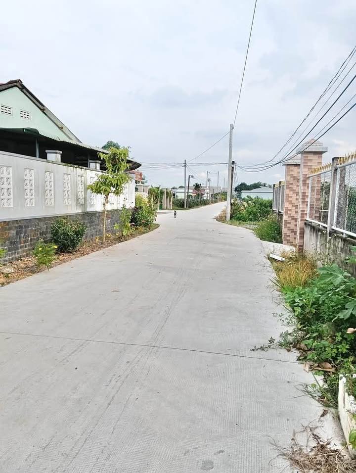 Nhà cấp 4 phường Tân An, Long An 256m² giá 2.3 tỷ - Đường xe 16 chỗ vào tận nhà!