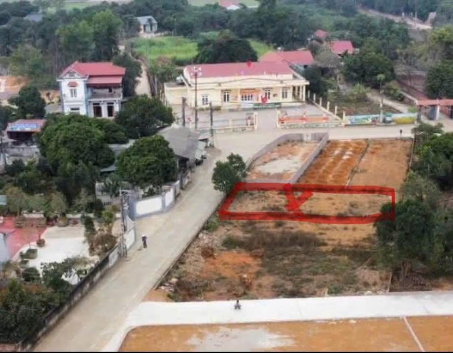 Đất nền Tiên Phong, Ba Vì 203m² giá 2 tỷ - Cơ hội đầu tư hấp dẫn!