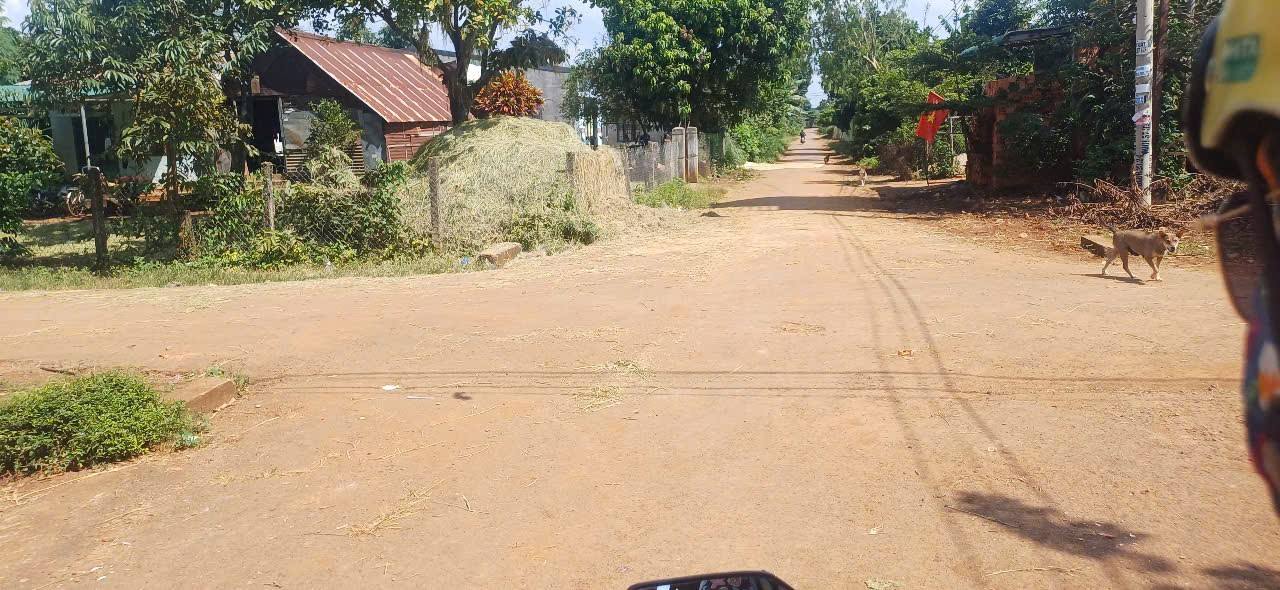 Đất nền mặt tiền đường Hòa Khánh, Buôn Ma Thuột 130m² giá 515 triệu - Cơ hội đầu tư nhanh!