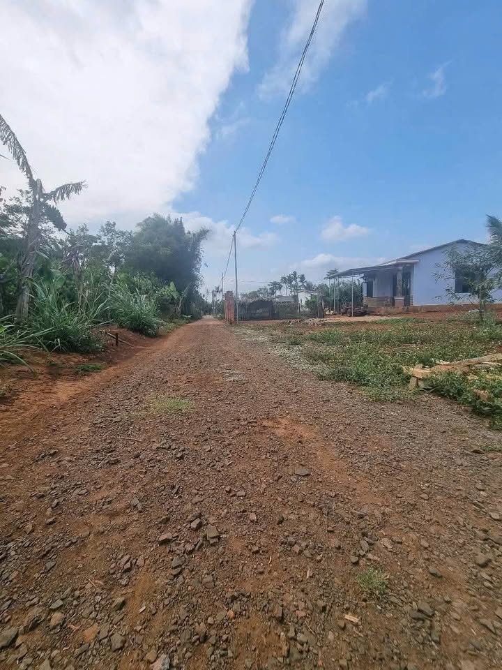 Đất nền Cuôr Đăng, Cư M'gar 115m² giá 4xx triệu - Đầu tư sinh lời ngay!