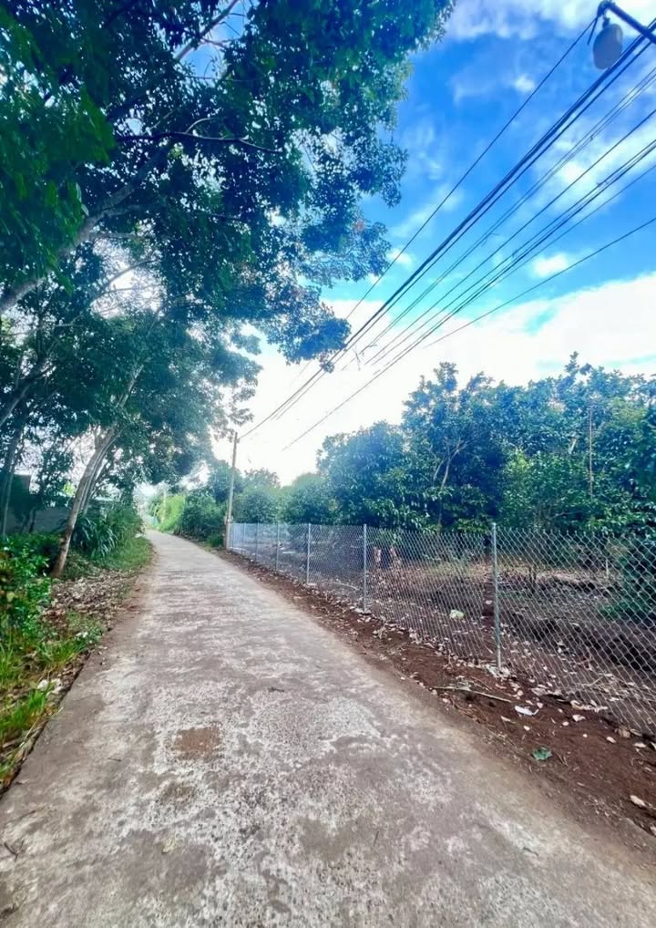 Đất nền Bảo Vinh Long Khánh 500m² giá 3.19 tỷ - Tiềm năng đầu tư cao!