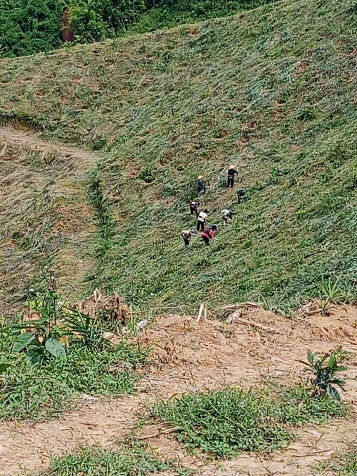 Đất nông nghiệp Đắk R'măng 3ha giá 2.52 tỷ - Khu vực yên tĩnh, tiện lợi!