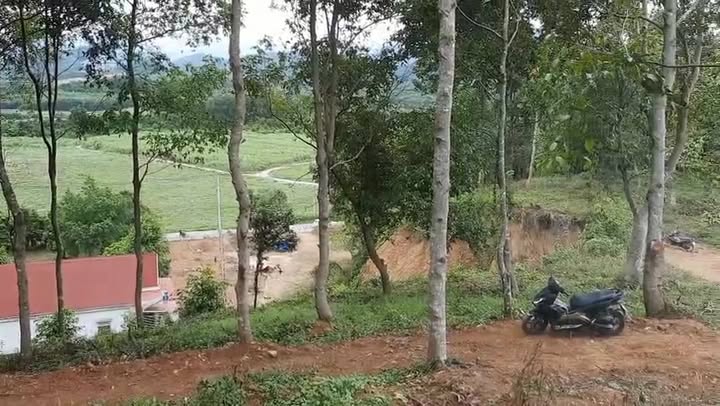 Đất Farm Thôn Xuân Trung, Diên Khánh 17.000m² giá 3,5 tỷ - Cơ hội đầu tư sinh lời!