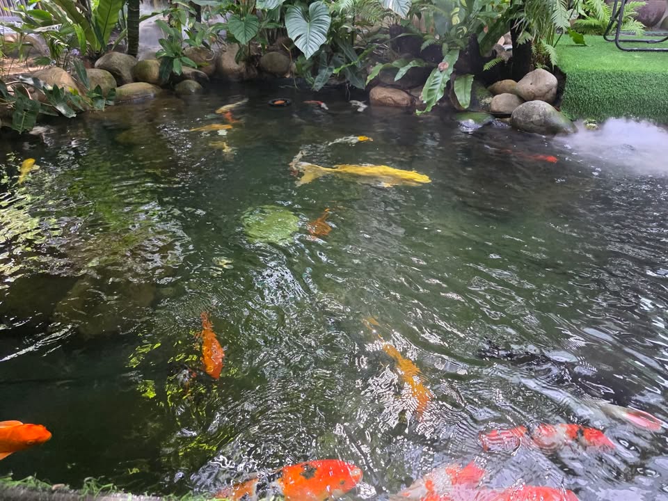 Nhà 2 tầng kiên cố đường Nguyễn Huy Lượng, quận Thanh Khê 60m² giá 4.6 tỷ - Không thể bỏ lỡ!