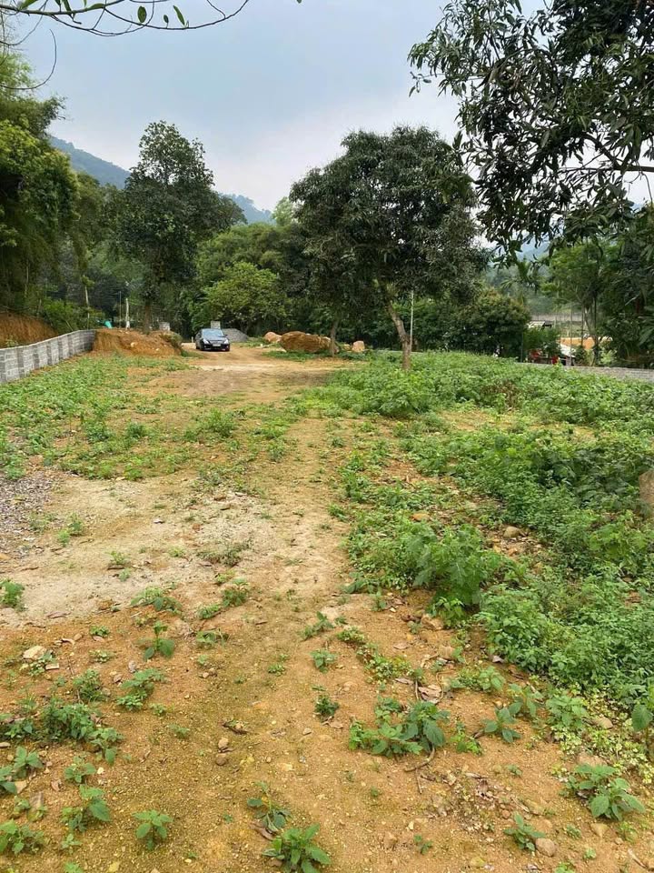 Farm 1ha Hoà Sơn, Lương Sơn, Hoà Bình giá 20 tỷ - Tiềm năng nghỉ dưỡng tuyệt vời!