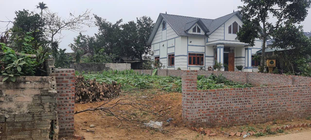 Bán đất thổ cư 272m² tại thôn Chóng, Ba Vì - Mặt tiền 11m, giá chỉ 4 tỷ!