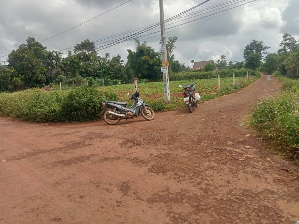 Đất mặt tiền đường Ea KMat, xã Hòa Đông, 270m² giá 2.1 tỷ - Cơ hội đầu tư hấp dẫn!