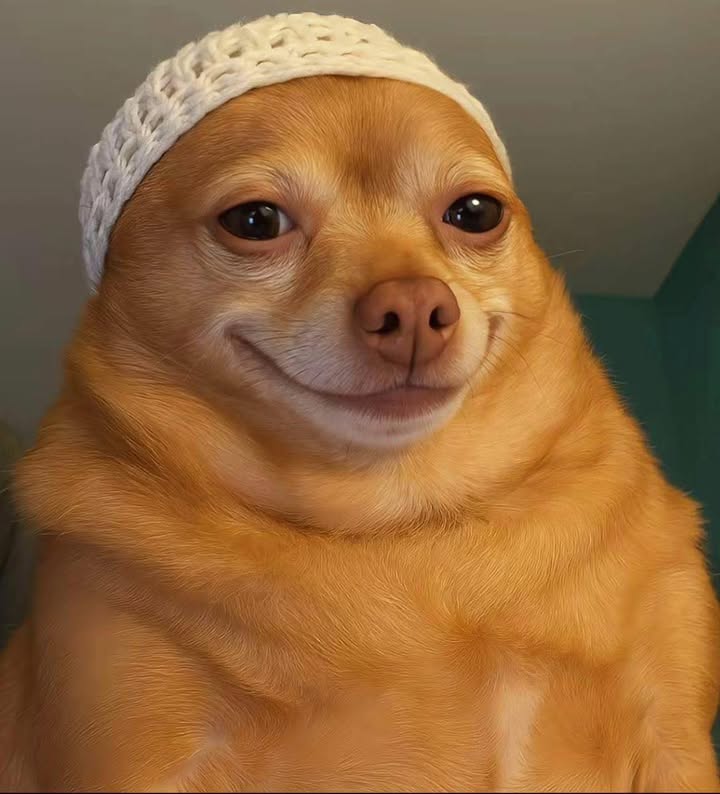 Mặt tiền Phan Châu Trinh Tam Kỳ 450m² - Cho thuê mặt bằng kinh doanh lý tưởng!