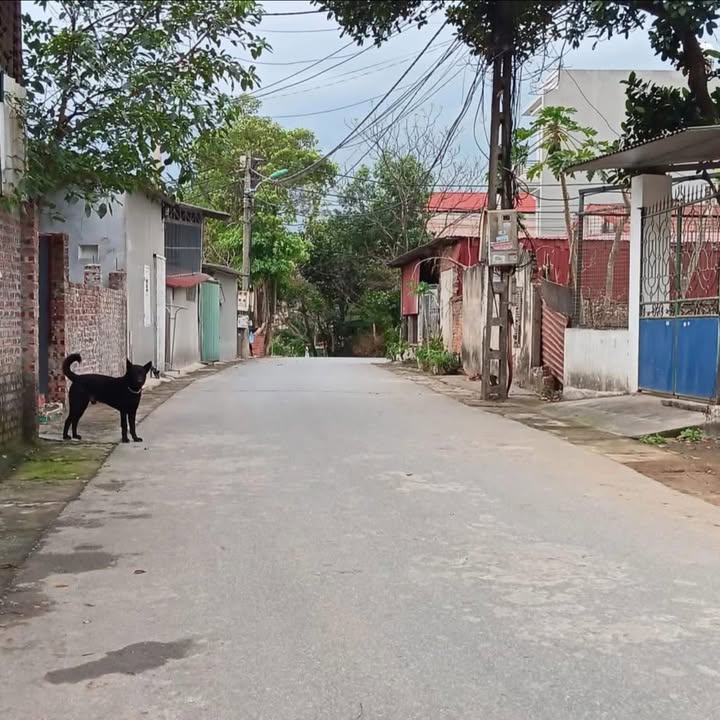 Đất nền kinh doanh mặt tiền Đinh Tiên Hoàng, Vĩnh Yên 133m² giá 2.7 tỷ - Cơ hội đầu tư sinh lời!