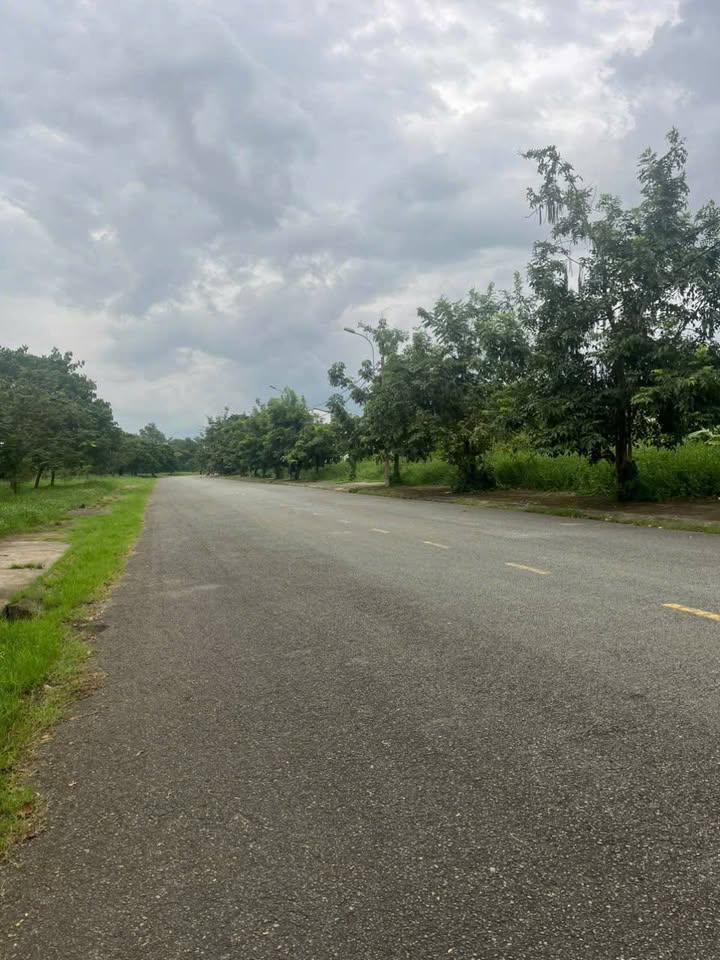 Đất nền biệt thự KDC Phú Lợi - Q8, 240m² chỉ 13.5 tỷ - Cơ hội đầu tư lý tưởng!