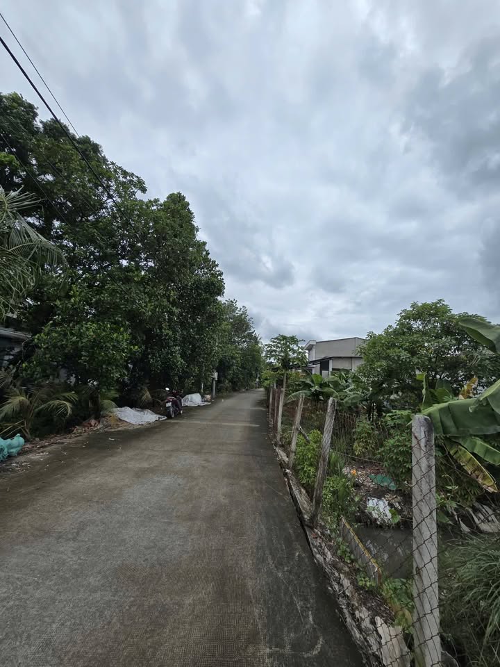 Đất Vĩnh Phú Thuận An 2567m² giá thỏa thuận - Sổ đỏ chính chủ, oto vào tận đất!