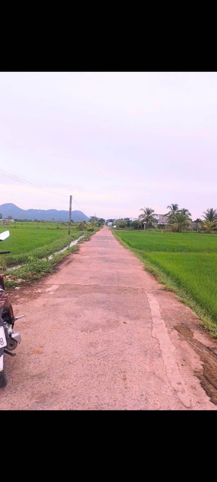 Đất thổ cư 100m² Hàm Phú giá 290 triệu - Cơ hội đầu tư hấp dẫn!