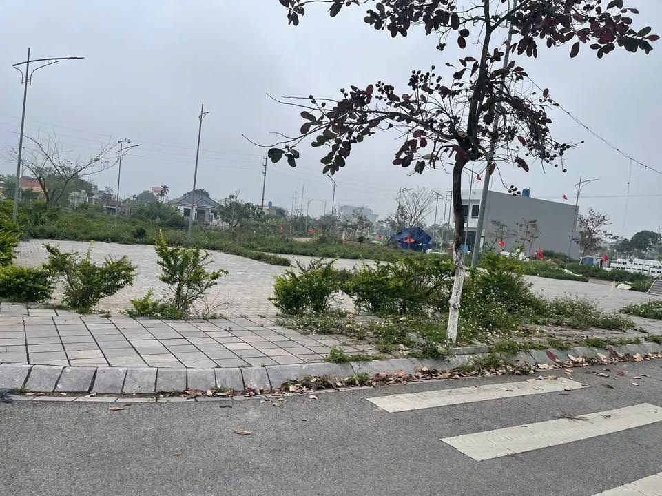 Đất nền Khu đô thị Tây Giang 2 Tiền Hải 89m² giá 1 tỷ - View vườn hoa thoáng mát!