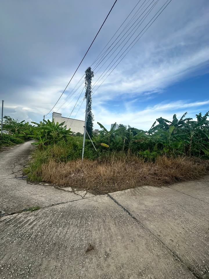 Đất nền góc đường Võ Trường Toản, Rạch Giá, 110m² chỉ 580 triệu - Đầu tư sinh lời ngay!