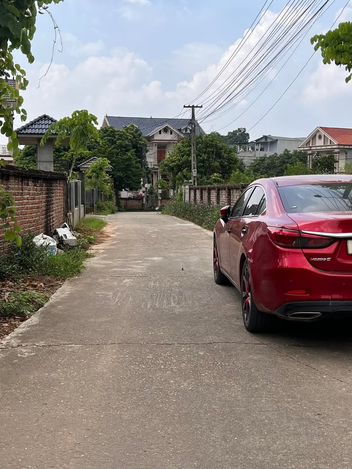 Đất nền Thanh Đình Việt Trì 100m² giá chỉ 800 triệu - Đầu tư sinh lời ngay!