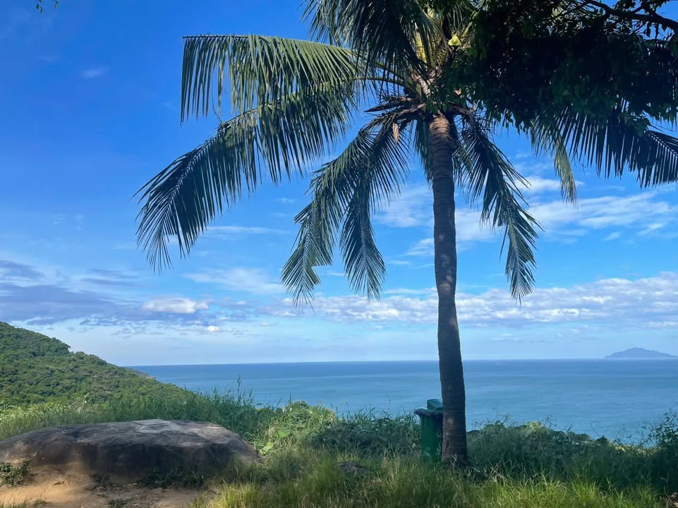 Căn hộ chung cư Tân Tây Đô 3,5 triệu - Sẵn sàng vào ở ngay!