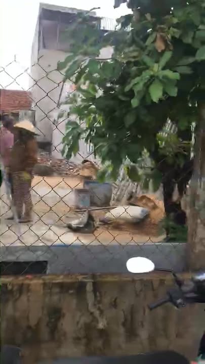 Đất nền Phú Thạnh 96.6m² giá 1 tỷ - Cơ hội đầu tư hấp dẫn!