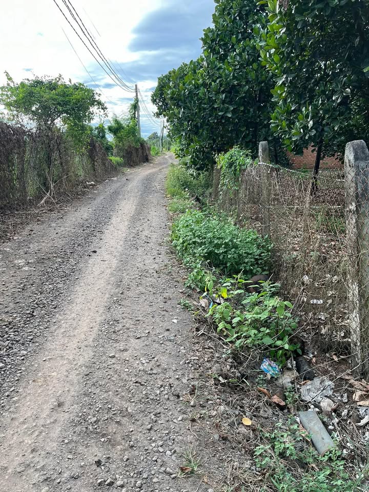 Đất nền xã Xuân Bắc 2000m² giá 1.3 tỷ - Cơ hội đầu tư tuyệt vời!