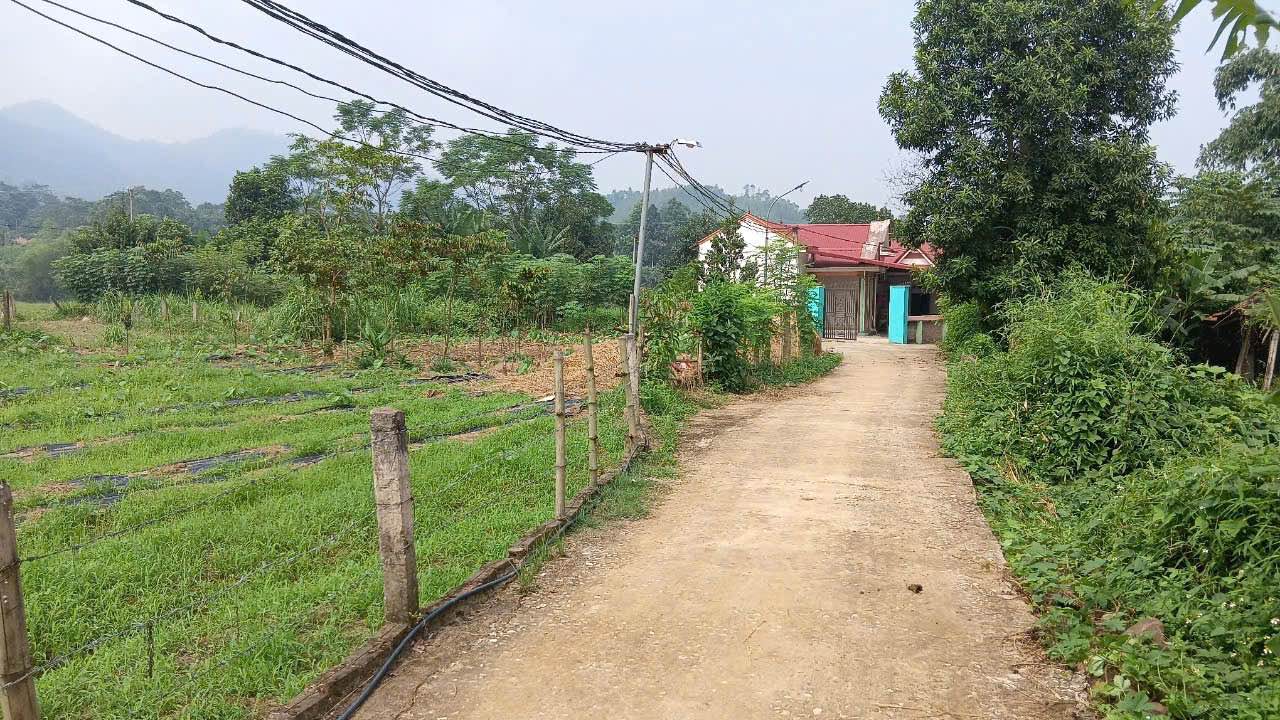 Đất thổ cư 400m² tại Thanh Sơn, Phú Thọ - Giá 1 tỷ, vị trí lý tưởng cho nghỉ dưỡng!