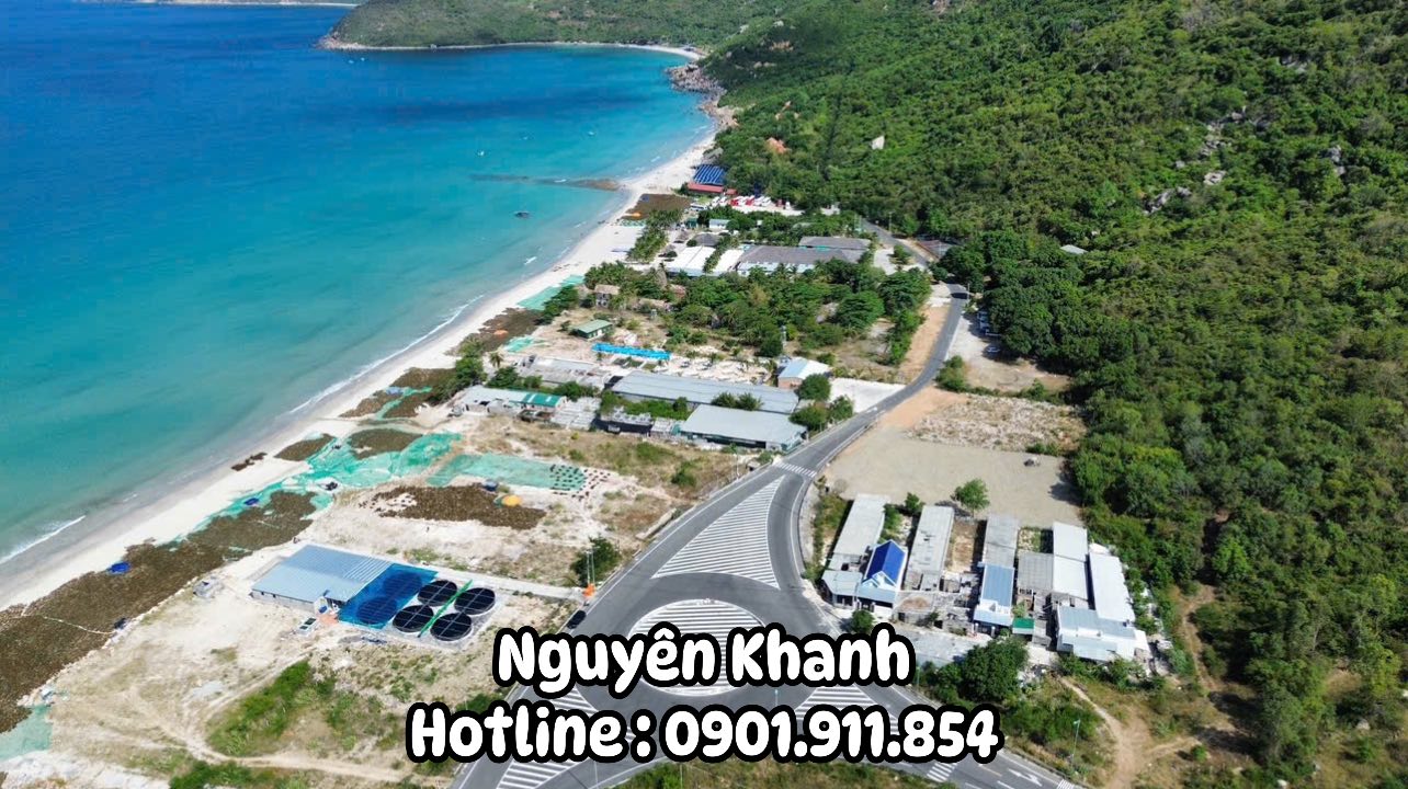 Đất Nền Ninh Phước 2050m² giá 30.75 tỷ - Đầu tư sinh lời bền vững!