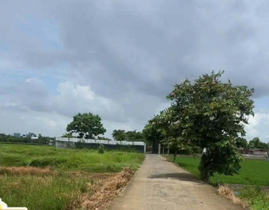 Đất thổ cư 160m² chính chủ tại Tân Quý Tây, Bình Chánh - Đầu tư sinh lời ngay!