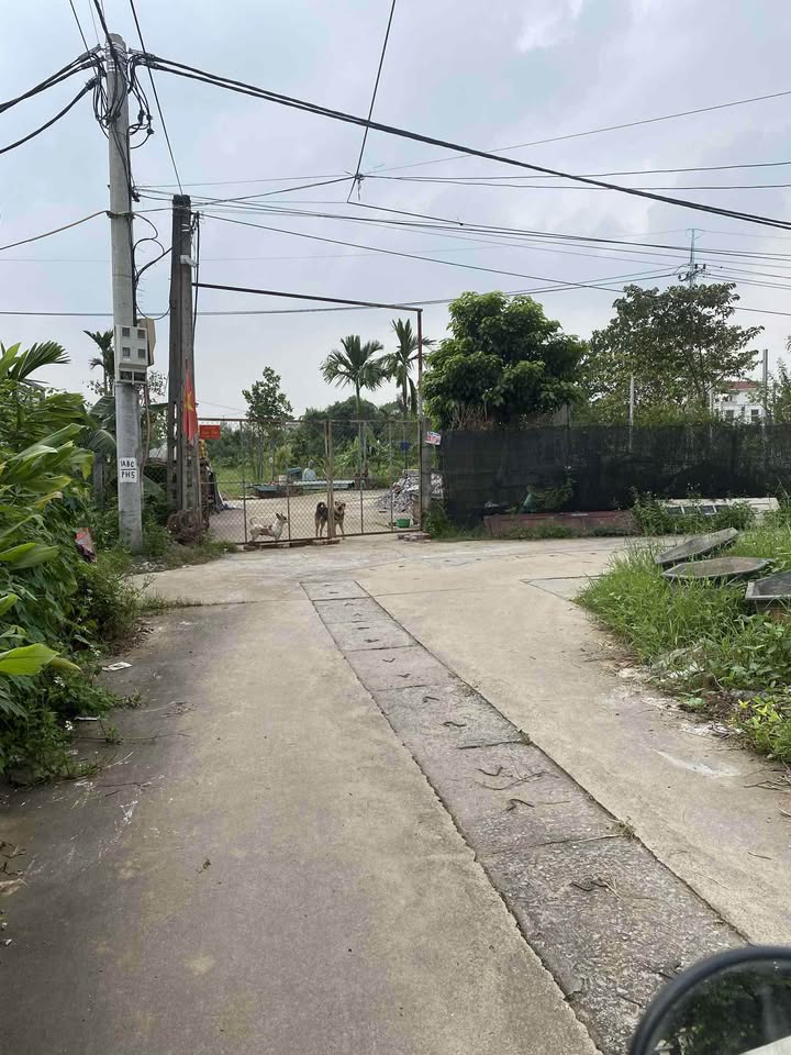 Đất nền Phúc Hoà, Phúc Thọ 44m² giá 1 tỷ - Đường ô tô tránh nhau, tiện ích đầy đủ!