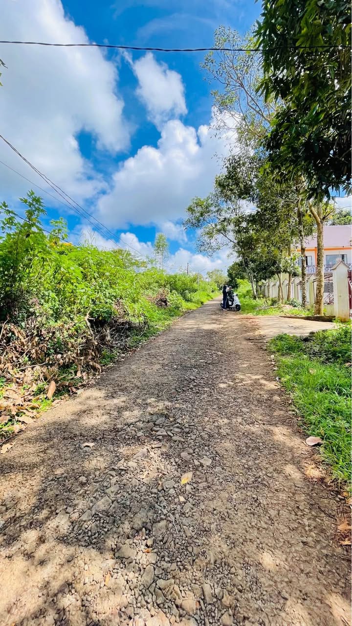 Đất nền hẻm chính 196 Lê Thánh Tôn, Pleiku, 446.5m² giá 2.5 tỷ - Sổ đỏ chính chủ