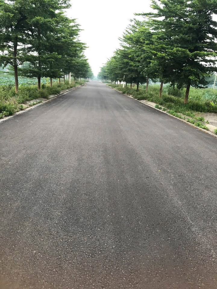 Đất nền xã Gia Thịnh, Gia Viễn 160m² giá 1.6 tỷ - Đầu tư sinh lời cao!