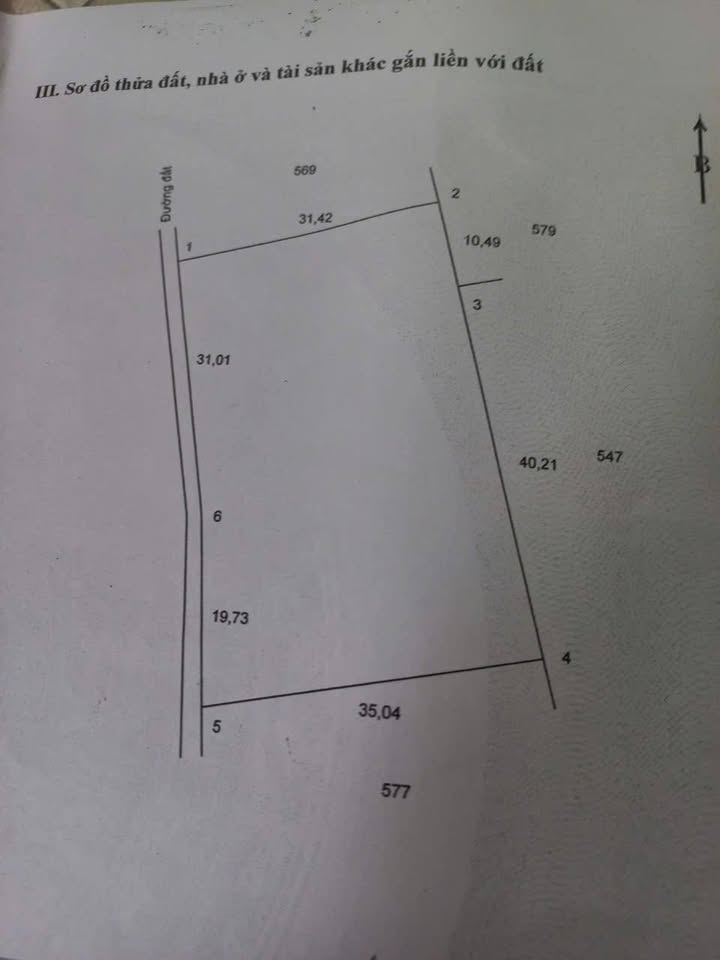 Đất vườn Hòa Ninh 1,6 công chỉ 850 triệu - Đang cho thu hoạch!